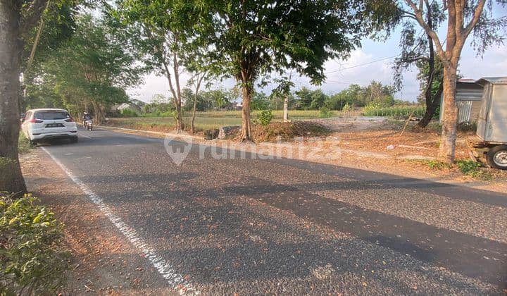 Tanah Istimewa dan Murah di Pandowoharjo