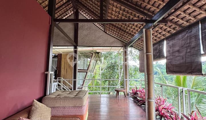 Dijual Private Villa Bagus Tegalalang Ubud View Alam