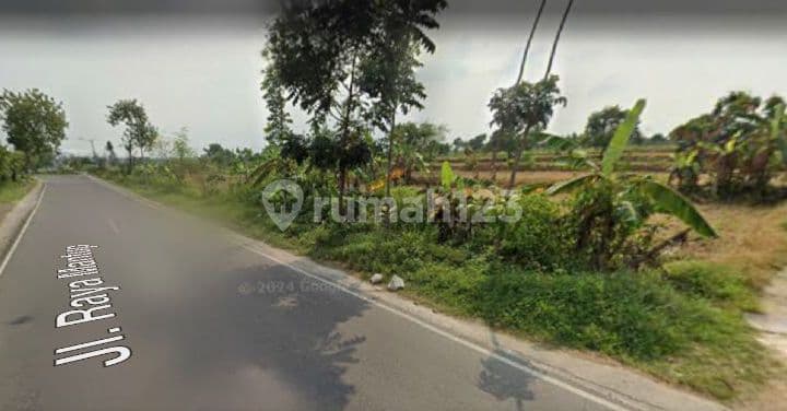Tanah Industri Mantup Lamongan Lebar 137mtr Jual Cepat Murah