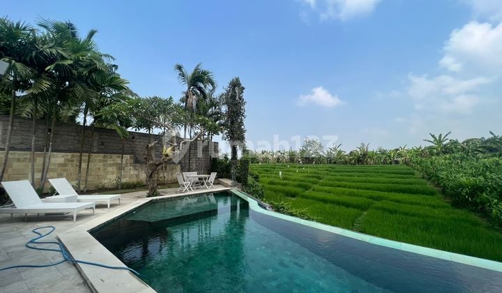 Villa Tropical Rice Field View Canggu Bali