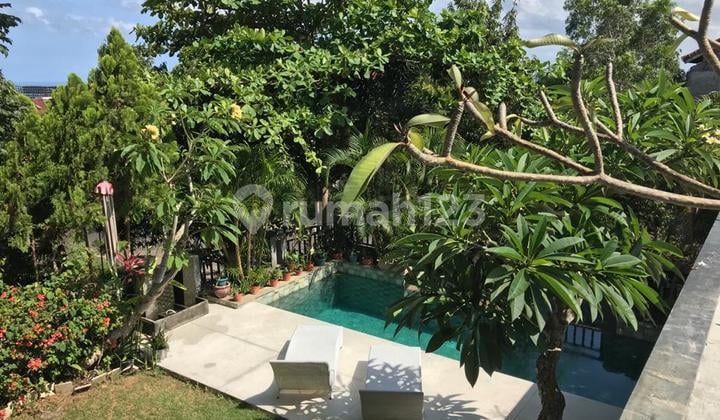 Villa Tropical Modern Pecatu Ungasan Bali