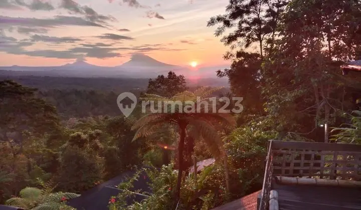 Glamping Land View of Mount Jatiluwih Tabanan Bali