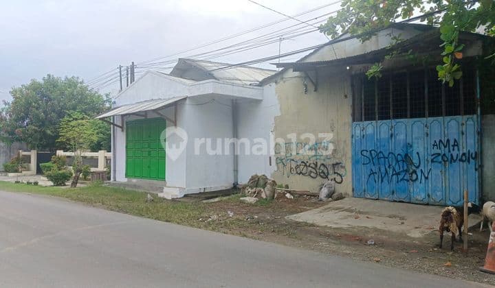 Land and Building of Warehouse House for Swiftlet Nest