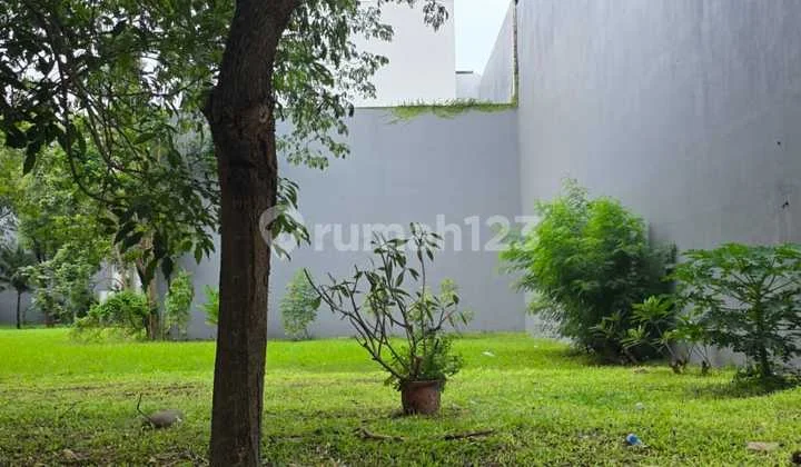 Kavling Ebony Golf Pantai Indah Kapuk Luas 471.5M2 Hadap Selatan