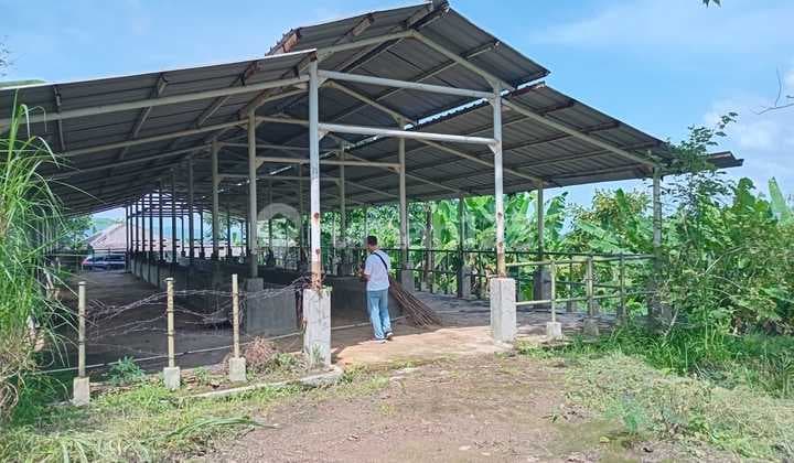 Dijual Lahan Peternakan View Gunung Di Bogor