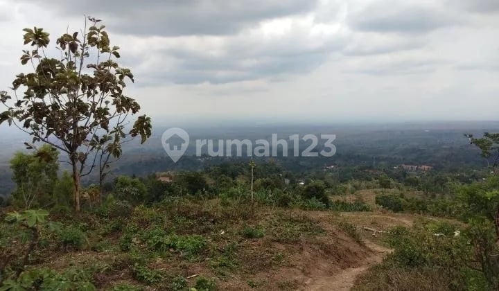 TYAS - Land for Sale in MBODAG, Kare, Madiun