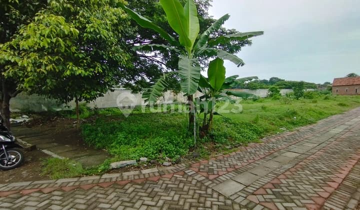 Jeffry- DiJual Tanah di RING ROAD SELATAN , Purworejo , Pasuruan