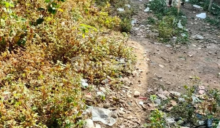 Taufik - Land for Sale in KLEKO CENTONG Village, Gondang, Mojokerto.