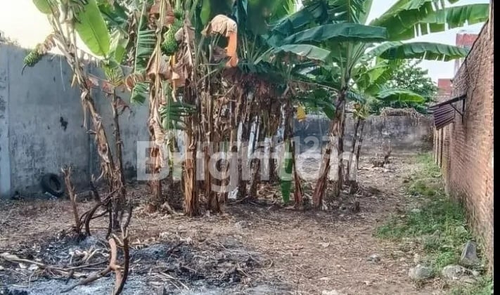 Taufik - DiJual Tanah di DUSUN GATOEL , Puri , Mojokerto