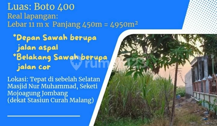 Taufik - Land for Sale in Saketi Village, Mojoagung, Jombang