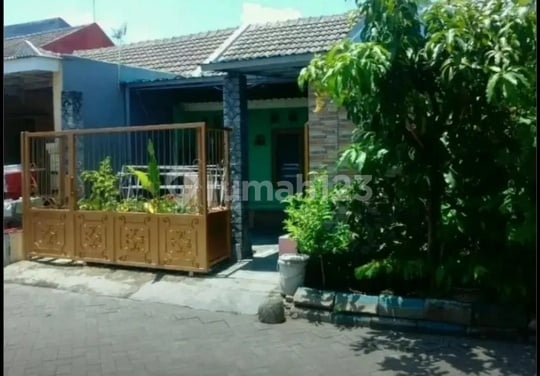 Frida- DiJual Rumah di TAMAN PUSPA ASRI , Candi , Sidoarjo , Jawa Timur
Deskripsi Properti,
Transaksi : Jual
Tipe : Rumah
Alamat : TAMAN PUSPA ASRI
Lokasi : Candi , Sidoarjo , Jawa Timur
Sertifikat : SHM
Luas Tanah : 90 m2
Luas Bangunan : 90 m2
Kamar Ti Frida- DiJual Rumah di TAMAN PUSPA ASRI , Candi , Sidoarjo , Jawa Timur
Deskripsi Properti,
Transaksi : Jual
Tipe : Rumah
Alamat : TAMAN PUSPA ASRI
Lokasi : Candi , Sidoarjo , Jawa Timur
Sertifikat : SHM
Luas Tanah : 90 m2
Luas Bangunan : 90 m2
Kamar Ti