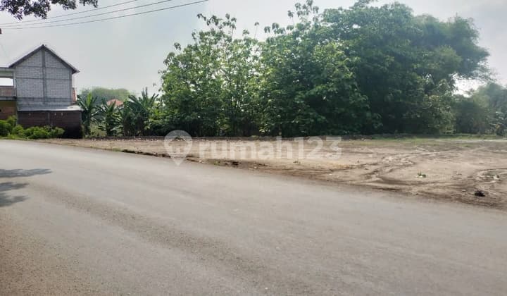 Taufik - DiJual Tanah di KUPANG JETIS , Jetis , Mojokerto