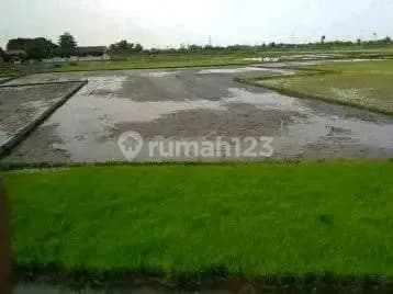 Taufik - DiJual Tanah di SUGO DESA TAMBAKREJO NGORO , Ngoro , Mojokerto