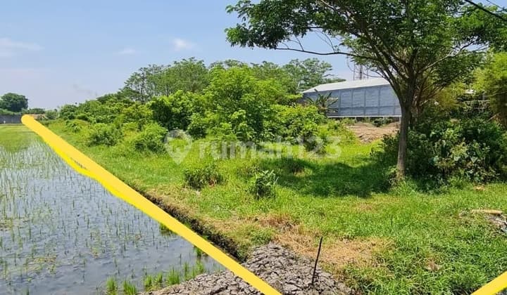 Jeffry- DiJual Tanah di JL RAYA SIDOGIRI , Kraton , Pasuruan