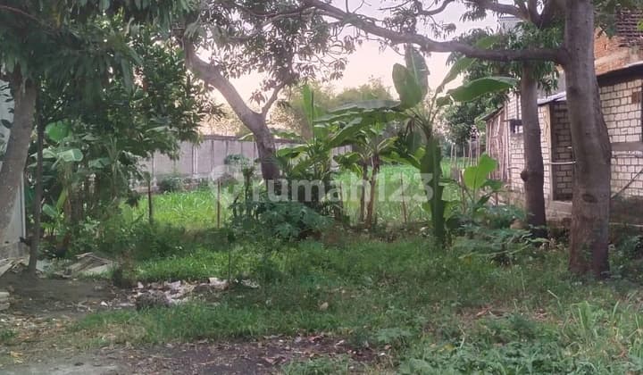 Taufik - DiJual Tanah di JL RAYA SURABAYA-BOJONEGORO , Baureno , Bojonegoro