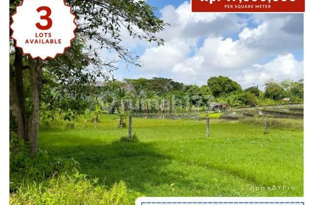 Jual Tanah di Canggu View Sawah