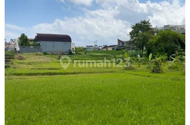 Jual Tanah di Canggu view Sawah