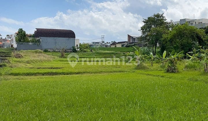 Tanah Kavling di Canggu