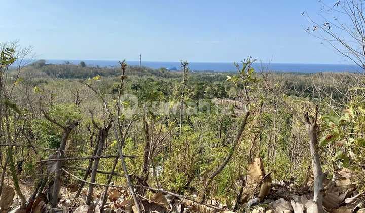 Large Land with Mountain and Sea Views, Buleleng, Bali