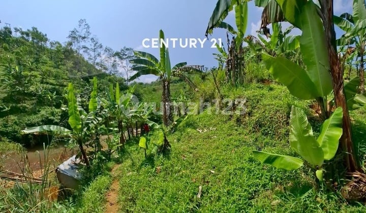 Dijual CEPAT Tanah Potensial Untuk Usaha Di Sukabumi