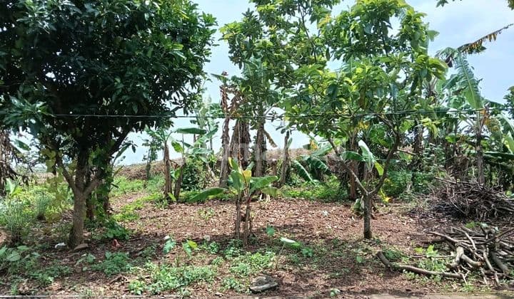 Kaving Siap Bangun Dekat Pasar Mijen Bsb Semarang