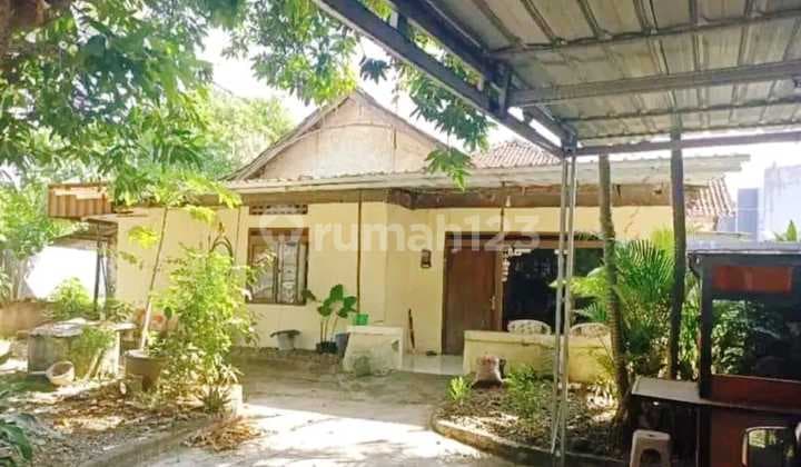 Rumah dan Tanah Luas Tengah Kota Semarang Dekat Sampokong