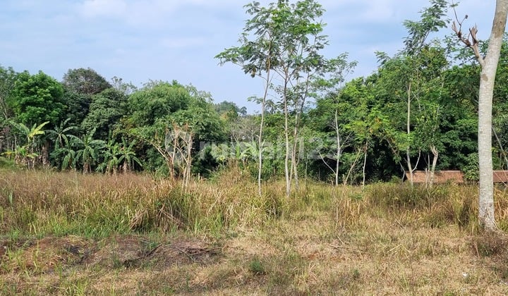 Tanah 2590 m2 SHM Cileunyi, Bandung