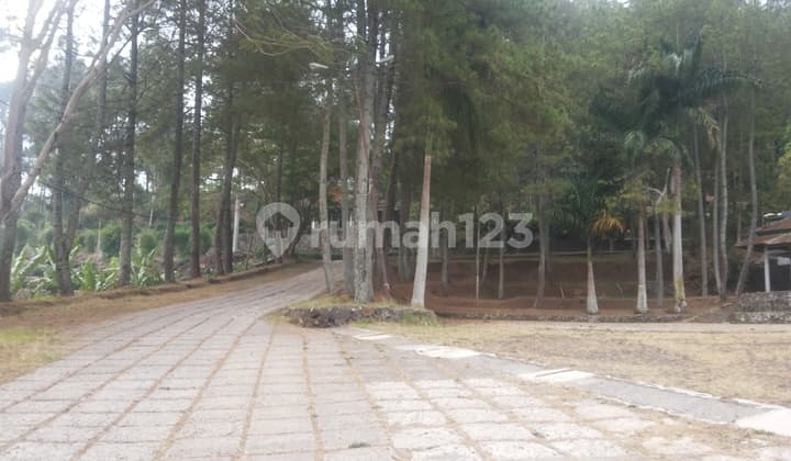 Tanah 140896 M2 SHM Lembang, Bandung Barat Ex Villa Resort View Kota Lembang Cocok Dibangun Tempat Wisata Lokasi Strategis