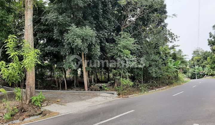 Tanah Jogja Barat Dekat Umy Potensi Kost dan Kontrakan Menjanjikan