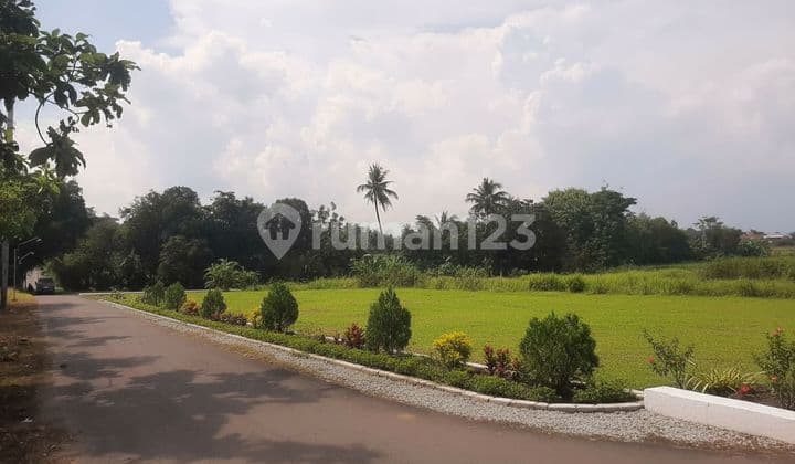 Opportunity to Own Affordable Land Plots in Godean with Secure Legality