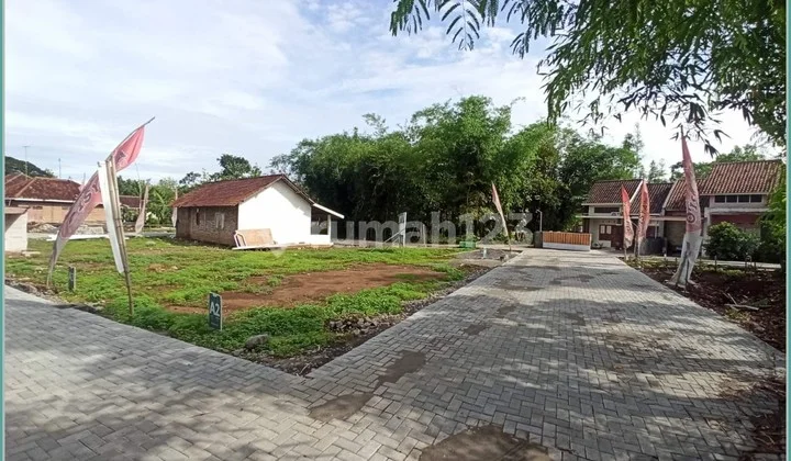 Land Worth Hundreds of Millions in Jogja, Behind Brimob Housing in Sentolo
