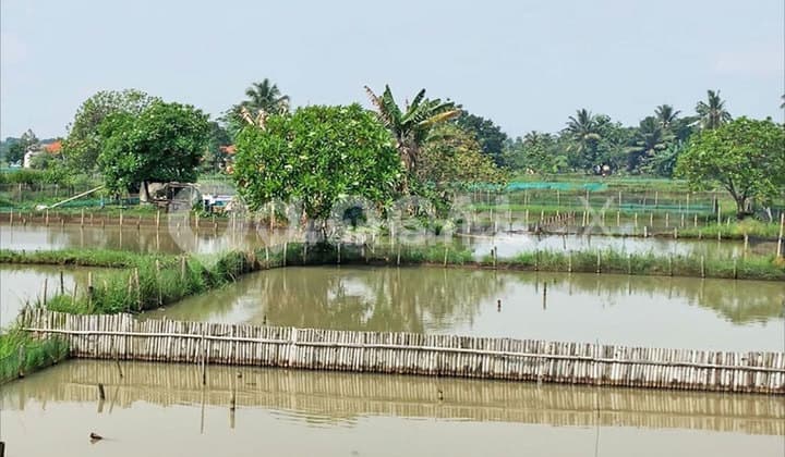 Tanah Kavling Raya H. Usa Ciseeng, Bogor, Jawa Barat