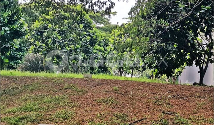 Kavling Tanah Royal Orchard, Kelapa Gading, Jakarta Utara