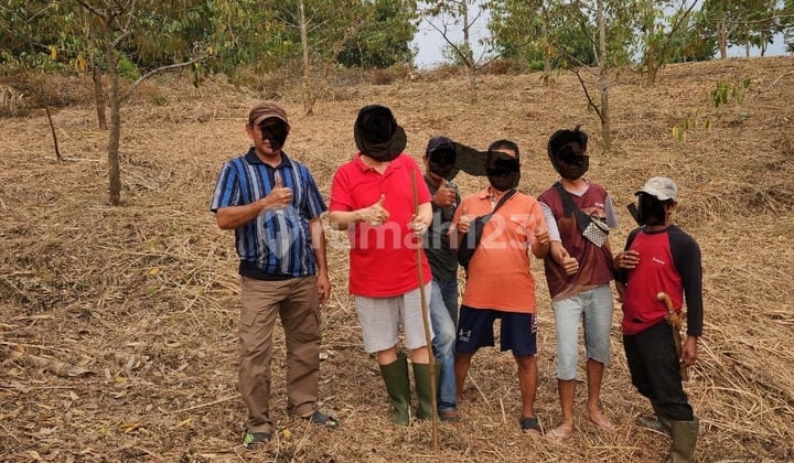 Land in Bogor covering 200 hectares is suitable for plantation/livestock farming.