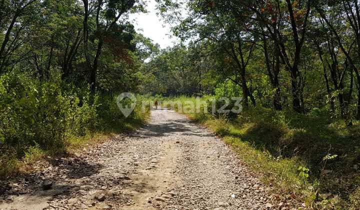 Subang Industrial Land, Cheapest