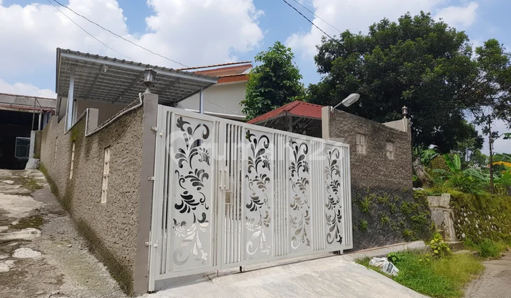 New House Hook Downtown Lotus Tower View