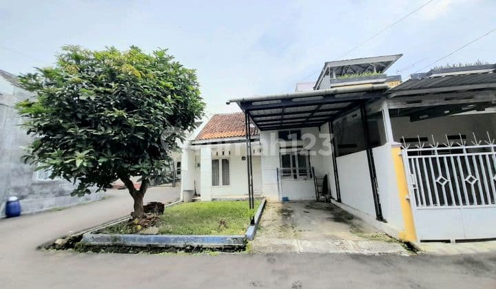 Rumah Hook Karanggintung Shm Halaman Belakang Luas