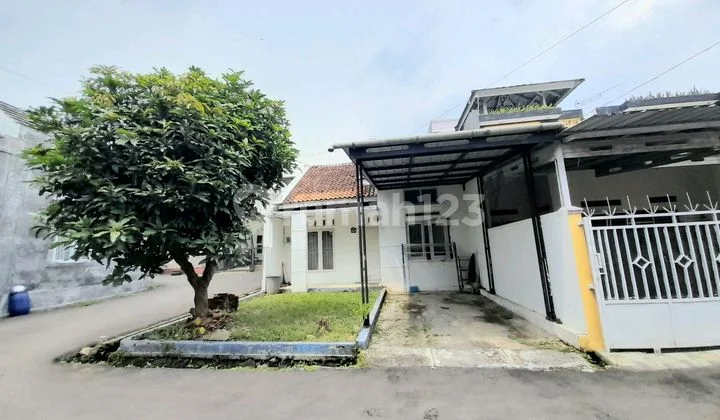 Rumah Hook Karanggintung Shm Halaman Belakang Luas
