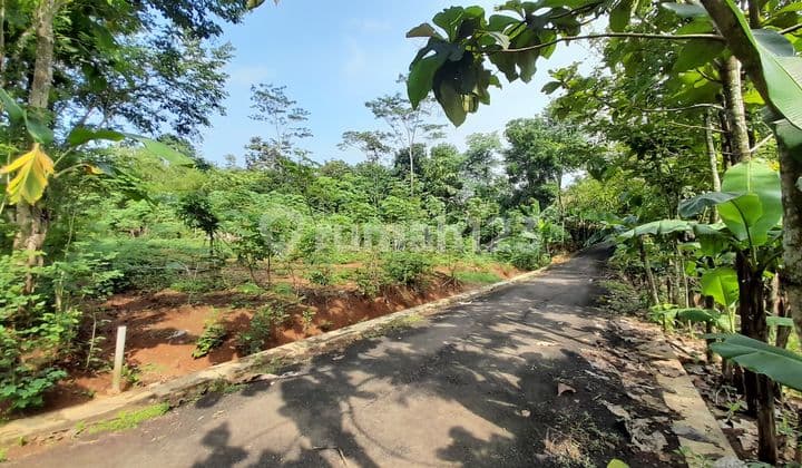 Tanah SHM Kering Di Teluk Purwokerto Selatan