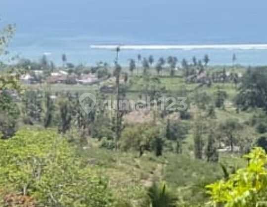 Tanah 3000m2 Praya bukit torok ocean view cocok untuk bisnis