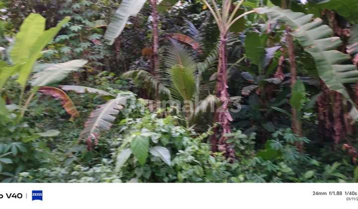 Tanah Murah di Tibubiyu 500 M² SHM