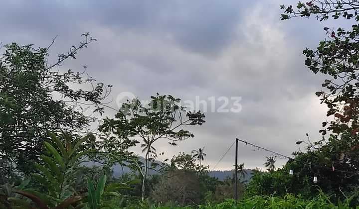 Tanah Murah di Soka SHM - Sertifikat Hak Milik 1700 m²