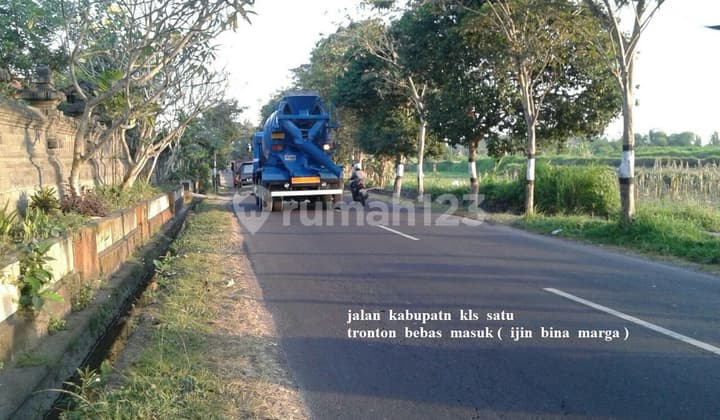 Tanah di Jalan raya krasan , Abiansemal SHM - Sertifikat Hak Milik 19000 M²