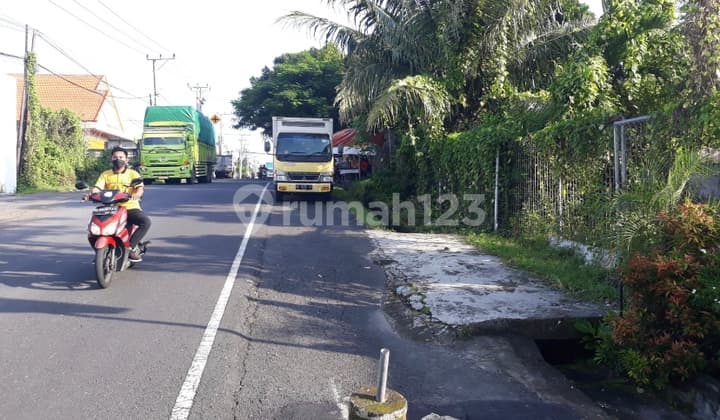 Tanah Di Muding Gatsu Shm - Sertifikat Hak Milik 600 M²