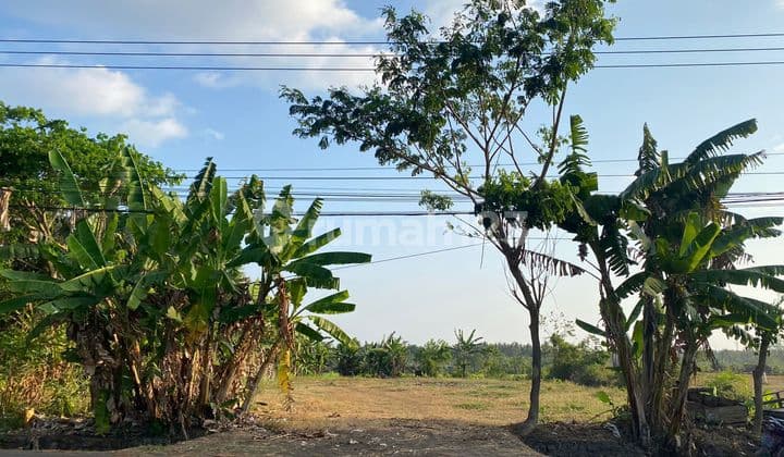 Cheap land 2200 SHM bypass Gilimanuk Bali