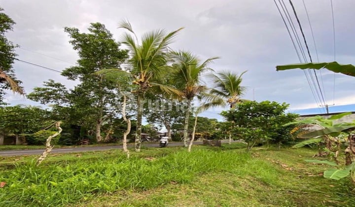 Cheap Land in Selemadeg Tabanan SHM - Certificate of Ownership 3500 Squaremeters