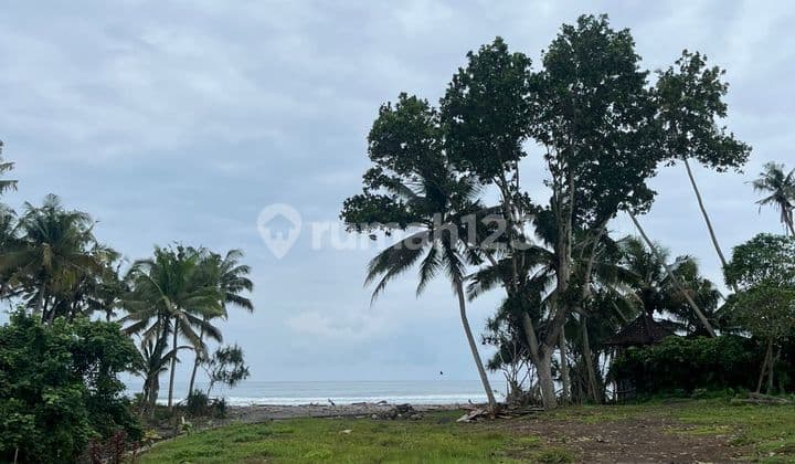 Tanah Murah di Tabanan SHM - Sertifikat Hak Milik 9250 m²