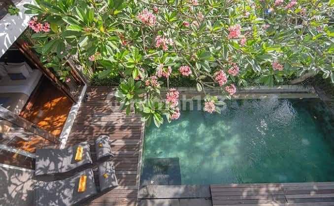 Villa Furnished Bagus SHM - Sertifikat Hak Milik di Canggu Rumah