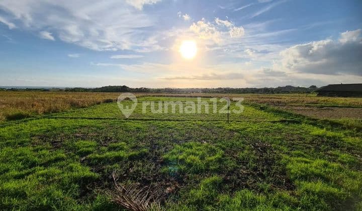 Tanah Murah Di Kelating 2200m² Shm