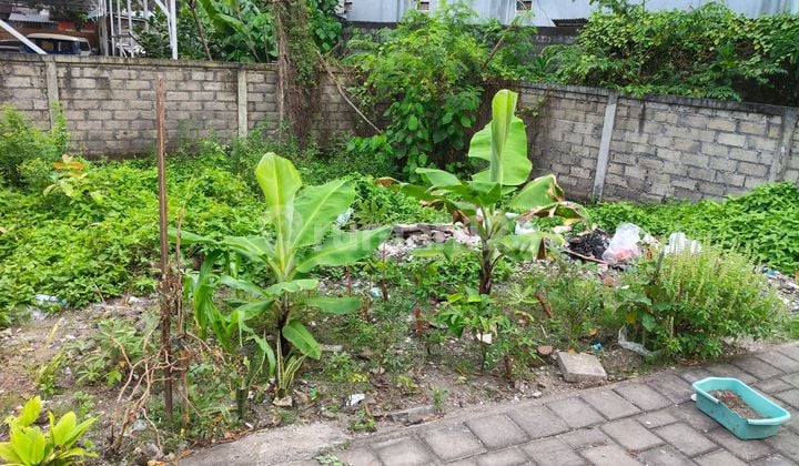 Tanah Murah Pidada Ubung Denpasar Cocok untuk Bisnis Anda
